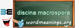 WordMeaning blackboard for discina macrospora